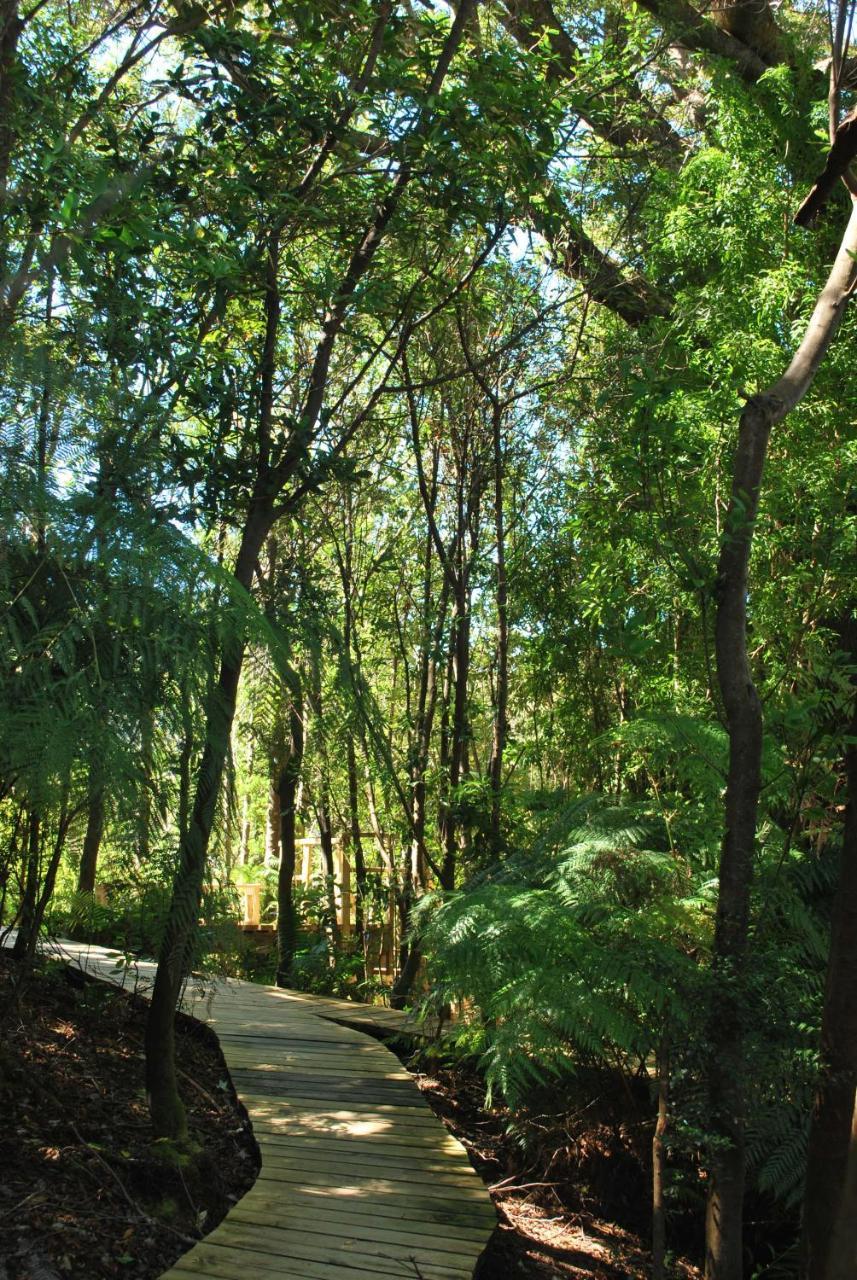 Chucao Bosque Y Cabanas Chaitén Eksteriør bilde